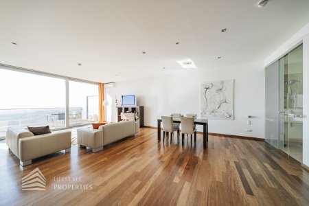 Einzigartiger Blick über Wien! Garconniere mit Terrasse am Kahlenberg