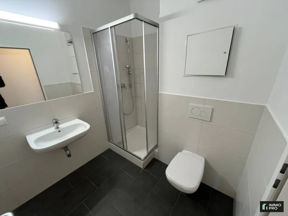Sanierte 1-Zimmer-Wohnung mit neuer Einbauküche in Donawitz zu vermieten - Bild