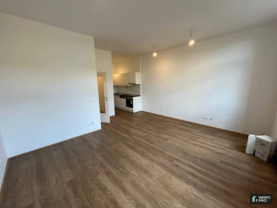 Sanierte 1-Zimmer-Wohnung mit neuer Einbauküche in Donawitz zu vermieten - Bild
