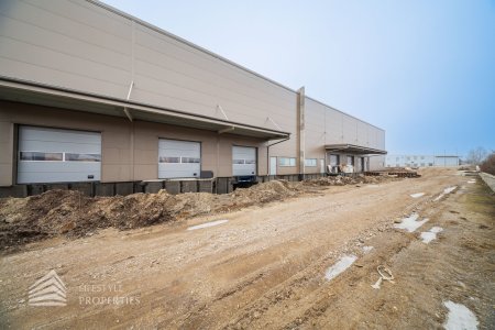Lagerhalle im Industriegebiet Münchendorf – flexibel nutzbar