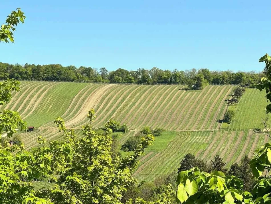 Top 1 – 200 m² Wohnen und Arbeiten unter einem Dach in Neustift am Walde, unter 6.000€/qm, BJ 1993 - Titelbild