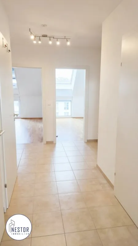 Wohnung - NESTOR Immobilien