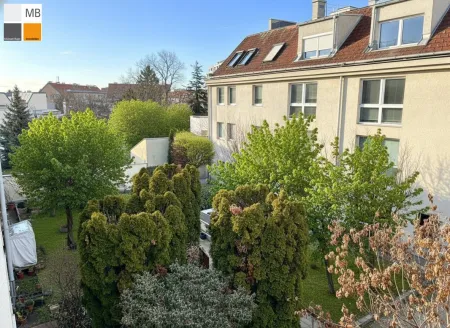 Blick aus dem Wohnzimmer