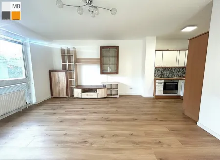 Wohnzimmer Küche