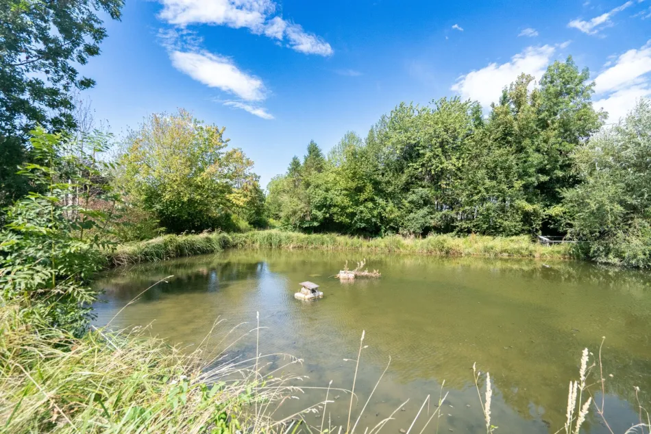 Naturidylle in Neuhofen an der Krems – Grundstück mit eigenem Fischteich - Titelbild
