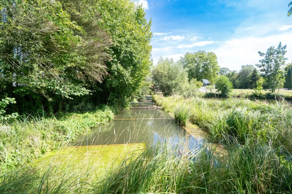 Naturidylle in Neuhofen an der Krems – Grundstück mit eigenem Fischteich - Bild