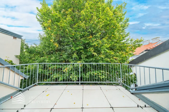 Helle 3-Zimmer Wohnung mit Terrasse, Nähe Kutschkermarkt - Bild