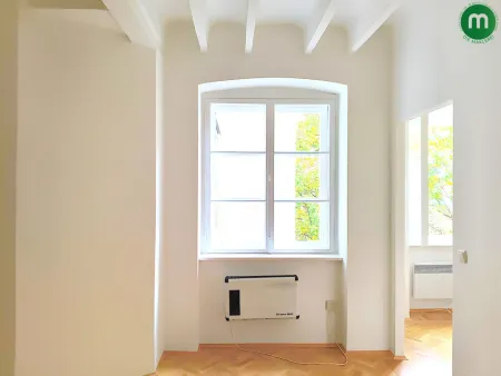 Wohn-/Schlafzimmer