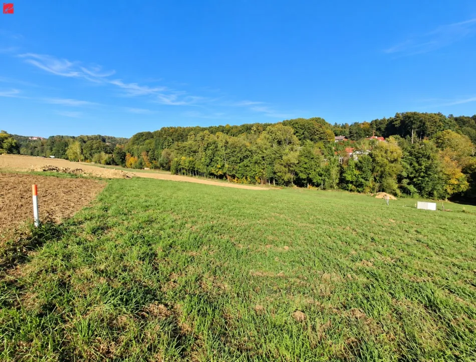 Bauplatz für Ihr Familienglück – 1.095 m² - Bild