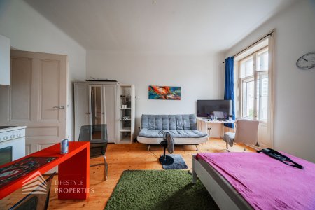 Wunderschöne Garconniere nähe ÖGK Hanusch-Krankenhaus