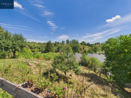 Grünblick vom Garten