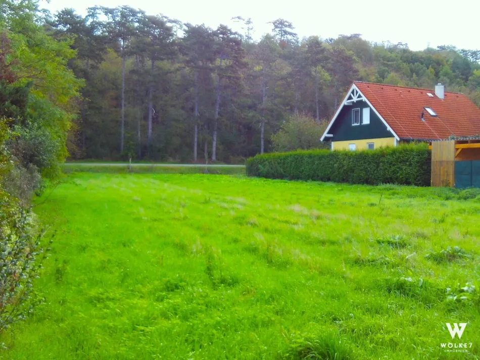 1.102 m² Baugrund in absoluter Ruhelage - nahe Kurort Bad Pirawarth - ohne Baumbestand - angrenzend am Föhrenwald - Titelbild