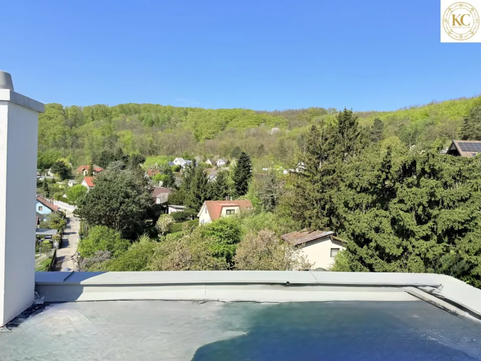 Exklusive Neubau-Villa in Neuwaldegg – luxuriöses Wohnen mit Pool, Dachterrasse & Wienerwaldblick - Bild