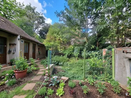 Der Garten hinter dem Haus