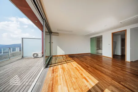Über den Dächern Wiens! Traumhafte Garconniere mit Terrasse