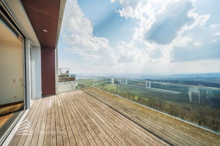 Über den Dächern Wiens! Traumhafte Garconniere mit Terrasse