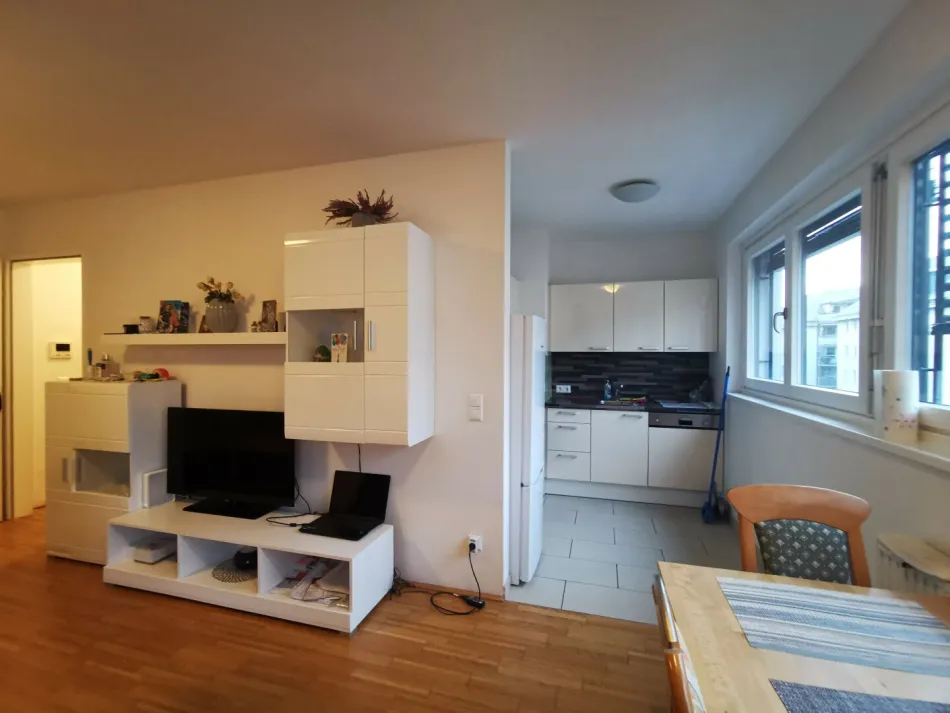 Teilmöblierte 2-Zimmer-Wohnung mit Loggia und extras im Haus! - Bild