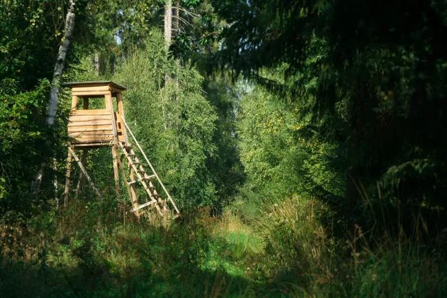 Exklusives Waldgrundstück in Döbling, Nähe Krapfenwaldbad - Titelbild