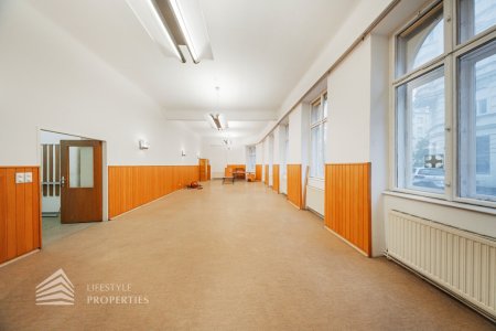 Helle Altbaufläche zum selber gestalten, Nähe Schönbornpark