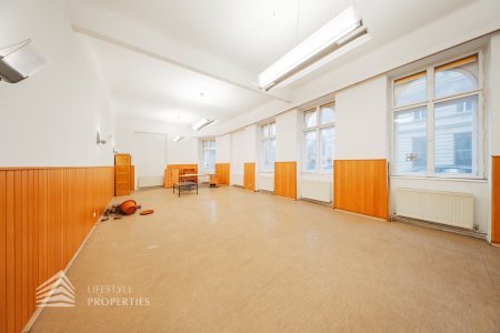 Helle Altbaufläche zum selber gestalten, Nähe Schönbornpark