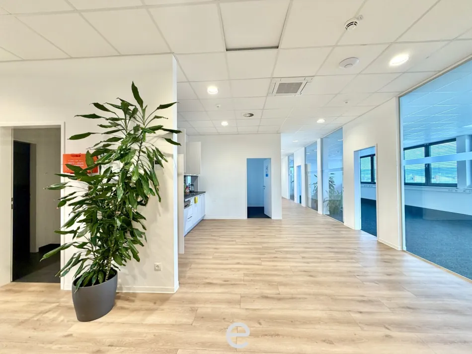 Büro im modernen Gewerbepark im Nord-Westen Wiens I Zukunftspark+ in Tulln - Bild