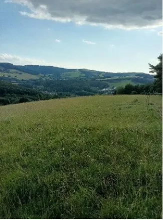 Traumhaftes Grundstück nahe Neulengbach/Altlengbach - Bild
