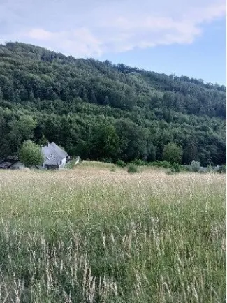 Traumhaftes Grundstück nahe Neulengbach/Altlengbach - Bild