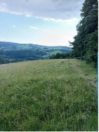 Traumhaftes Grundstück nahe Neulengbach/Altlengbach - Titelbild