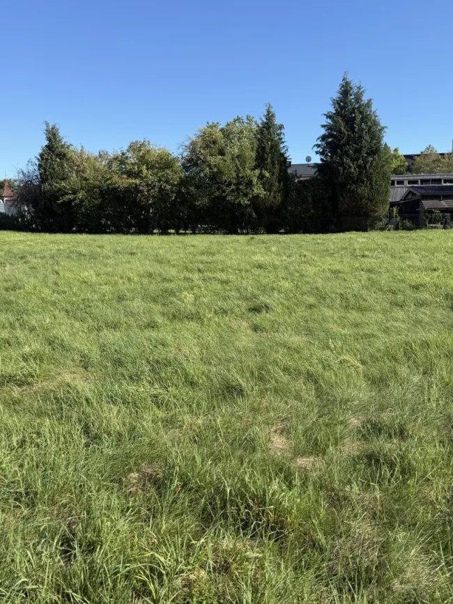 Grundstück(e) in zentraler Lage um nur 160.000 €! - Titelbild