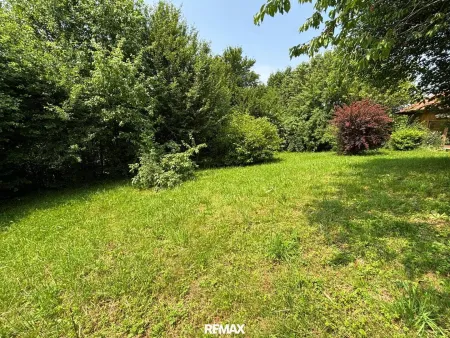 3_Garten