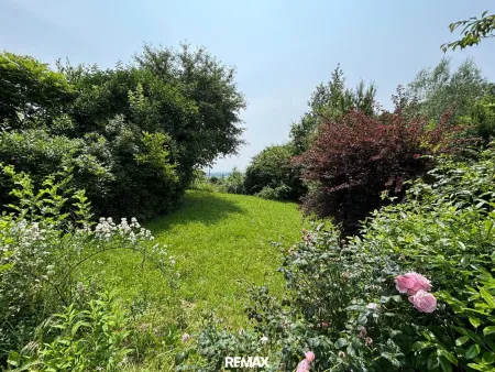 6_Garten