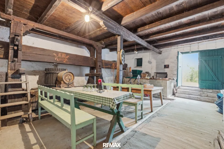 Weinpresshaus mit Kellerröhre und Erdkeller in Peigarten! - Bild