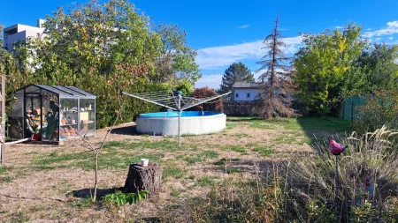 Garten hinter dem Haus mit Pool
