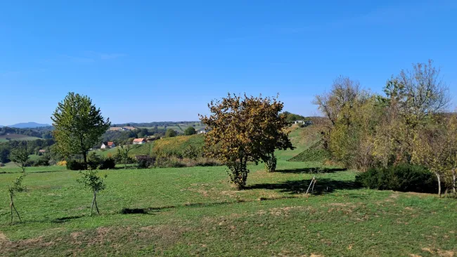 Aussicht vom Balkon in Richtung Riegersburg