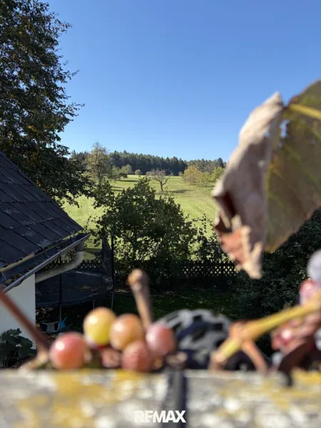 Ausblick