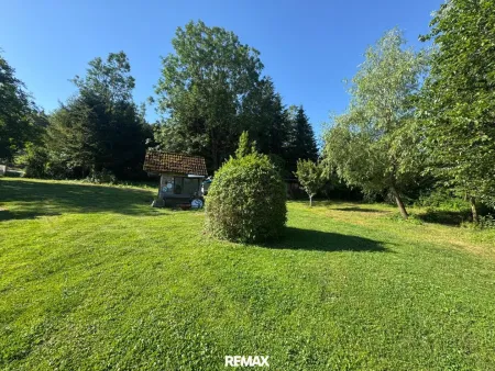 Garten mit Blick in Richtung Waldgrundstück