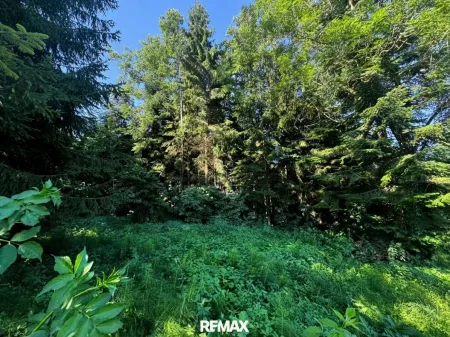Waldgrundstück