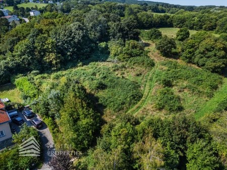 Vor den Toren Wiens – Grünland mit Bauerwartungsland-Einstufung