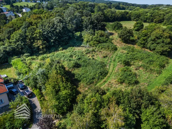 Vor den Toren Wiens – Grünland mit Bauerwartungsland-Einstufung - Bild