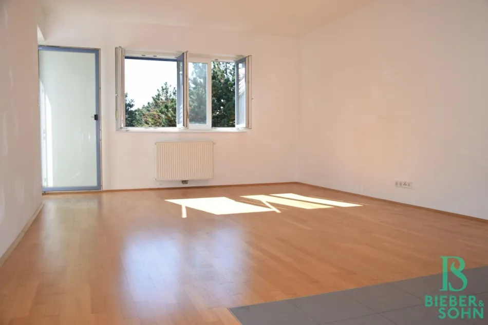 Wohnraum/Küche