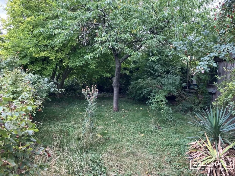 Baugrund mit Altbestand | ZELLMANN IMMOBILIEN - Titelbild