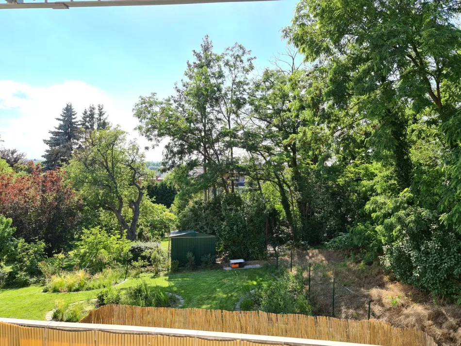 Tolle Eckwohnung mit Balkon und Weitblick - Bild