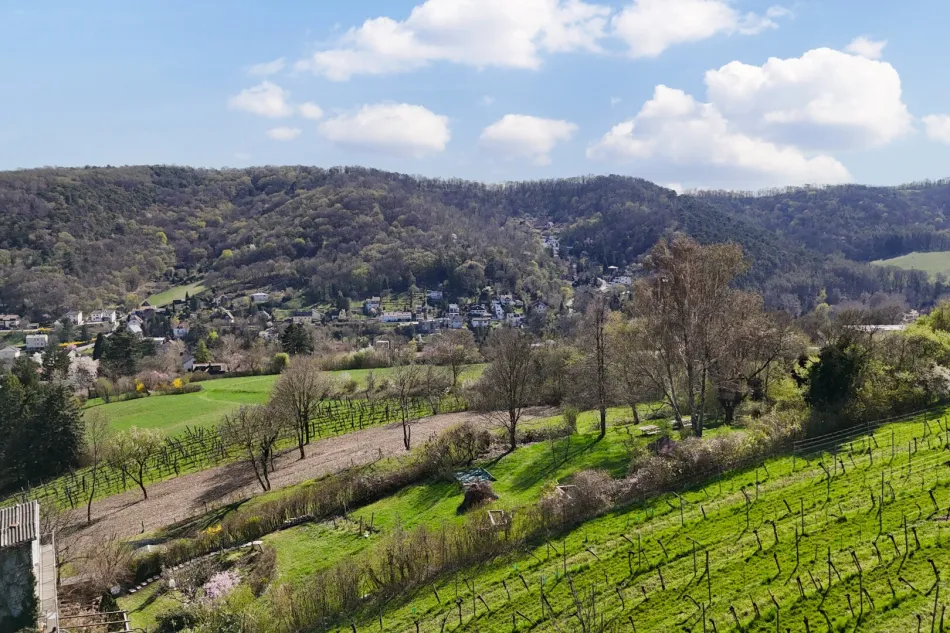 Ausblick, Umgebung