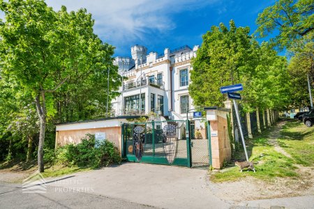 Luxuriöser 14- Zimmer Wohntraum mit Dachterrasse und Pool, Nähe Wilhelminenschloss