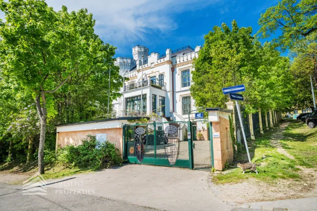 Luxuriöser 14- Zimmer Wohntraum mit Dachterrasse und Pool, Nähe Wilhelminenschloss - Bild