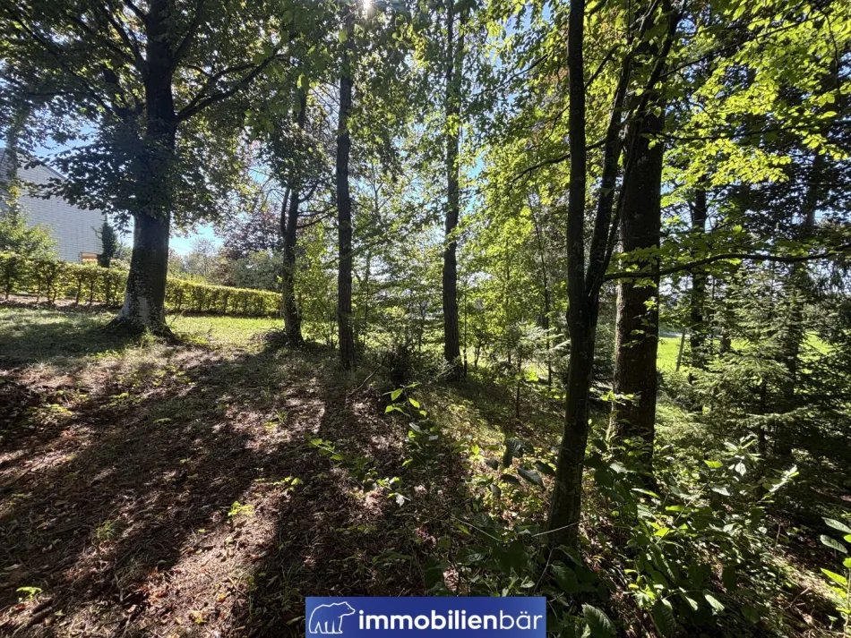 Baugrundstück mit Doppelgarage und Werkstatt- naturnaher Lage in Riedau - Grundstück Nr. 1 - Bild