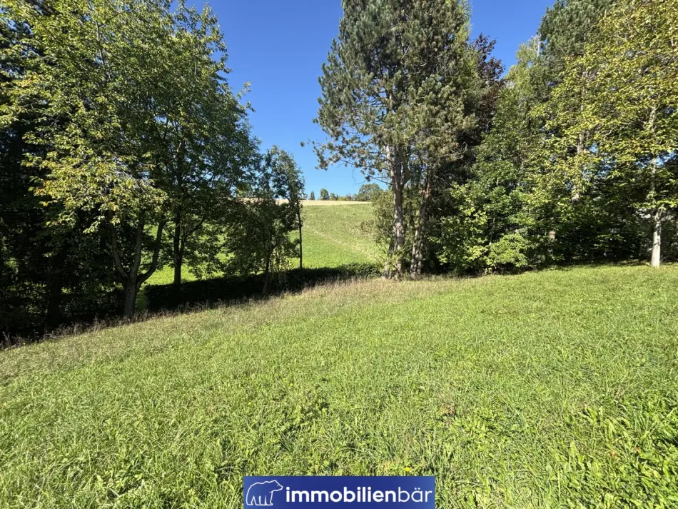 Baugrundstück in naturnaher Lage in Riedau - Grundstück Nr. 2 - Titelbild