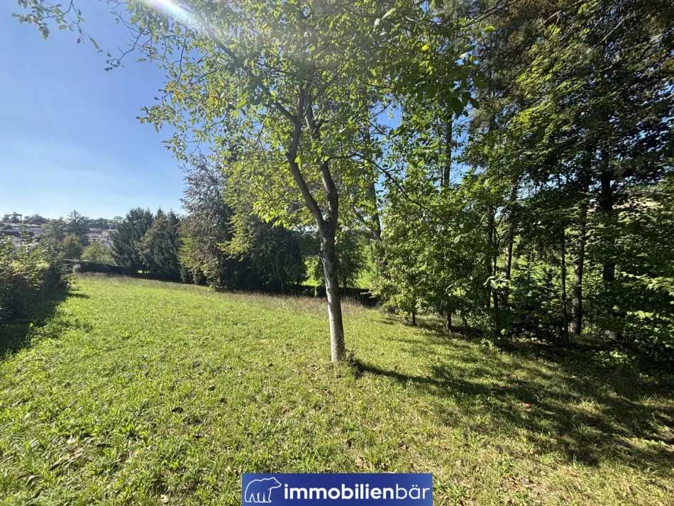 Baugrundstück in naturnaher Lage in Riedau - Grundstück Nr. 2 - Bild
