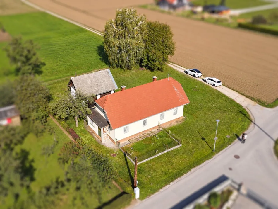 Ihr Haus. Ihr Garten. Ihre Ideen. – Haus mit Bergblick und viel Gestaltungspotenzial in Traundorf - Titelbild