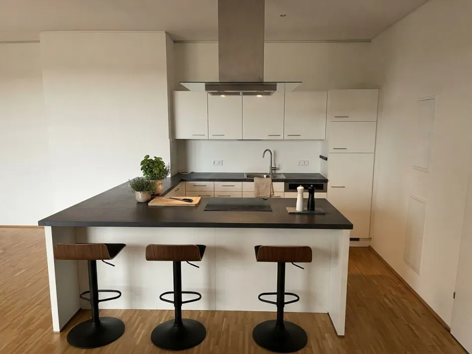*moderne 4-Zimmer-Penthousewohnung mit Terrasse & Küche in Graz-Liebenau* - Bild